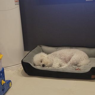 콩떡마미님이 올린 리뷰 사진 3