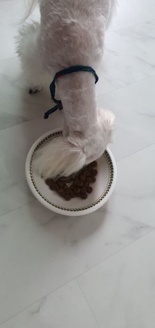돌삐님이 올린 리뷰 사진 3