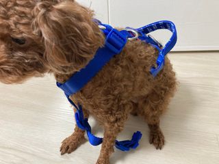 물방울님이 올린 리뷰 사진 2
