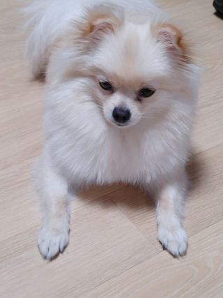 레오포포님이 올린 리뷰 사진 4