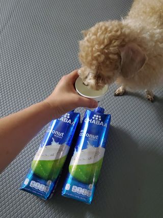 모모맘님이 올린 리뷰 사진 1