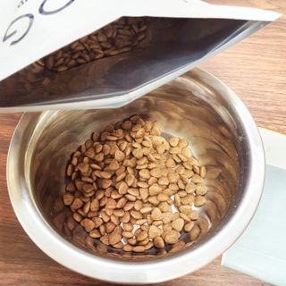 [푸디웜] 라포그 리얼인섹트 소프트키블 스킨 1KG — 5점을 준 리뷰어가 2022년 9월 올린 사용 사진