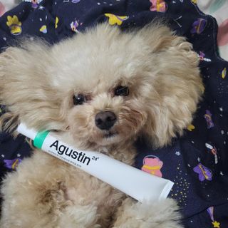 마이츄님이 올린 리뷰 사진 1