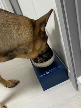 뚜우미님이 올린 리뷰 사진 3
