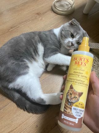 현민김님이 올린 리뷰 사진 3
