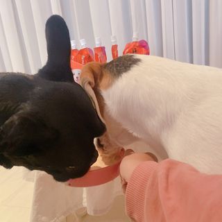 콩비지맘님이 올린 리뷰 사진 1