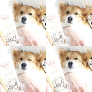 림림님이 올린 리뷰 사진 1