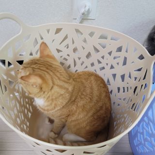 이째님이 올린 리뷰 사진 1