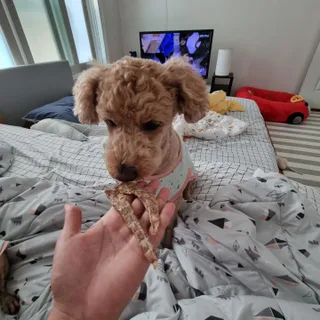 기린짱맘님이 올린 리뷰 사진 4