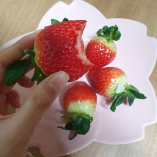 옳음 딸기 논산 설향 딸기 900g 산지직송 — 5점을 준 리뷰어가 2021년 1월 올린 사용 사진