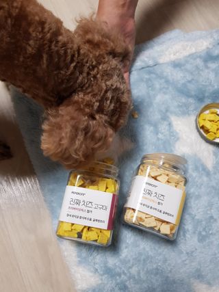 페페로니 진짜 프리바이오틱스 치즈+치즈고구마 180g+180g — 5점을 준 리뷰어가 2021년 7월 올린 사용 사진