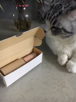 케이트25님이 올린 리뷰 사진 2