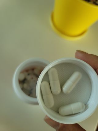 프리마인 성큼다가온 봄, 이너뷰티를 챙겨야 피부도 화사하게, 컨디션도 활기차게. 흡수율을 높인 고효율 비타민. — 5점을 준 리뷰어가 2022년 9월 올린 사용 사진