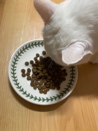 모너아리님이 올린 리뷰 사진 3