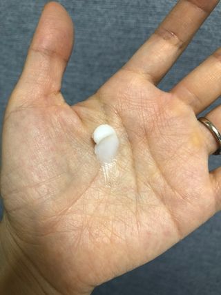 가니슈님이 올린 리뷰 사진 2