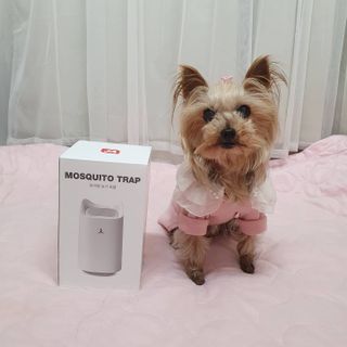 솜희님이 올린 리뷰 사진 3