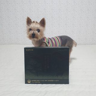 서울약사신협_프리미엄 진 녹용스틱 플러스10g x 30포 — 5점을 준 리뷰어가 2021년 8월 올린 사용 사진