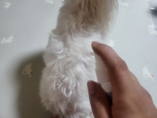 공팔리터님이 올린 리뷰 사진 3