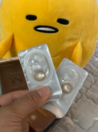 갱쓰님이 올린 리뷰 사진 3