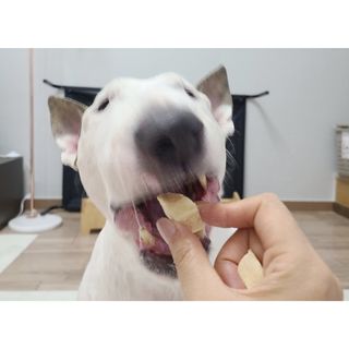 단발모리님이 올린 리뷰 사진 4