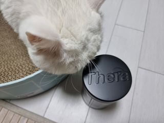 파비올라님이 올린 리뷰 사진 3