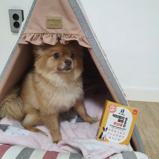 미뎡님이 올린 리뷰 사진 1