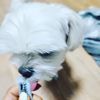 뿌꾸님이 올린 리뷰 사진 4