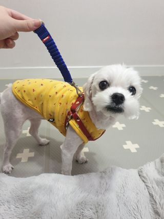 뽀야님이 올린 리뷰 사진 2