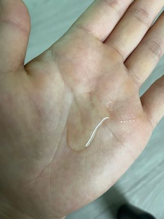 햄쓰님이 올린 리뷰 사진 4