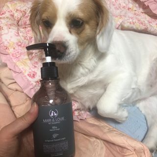 마리앤루이펫샴푸 [mari and louie pet shampoo] — 4.5점을 준 리뷰어가 2021년 5월 올린 사용 사진