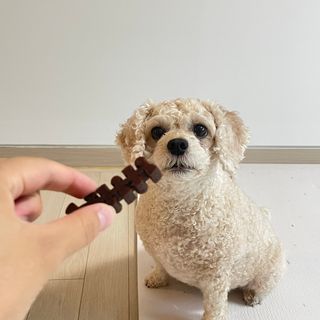 나은님이 올린 리뷰 사진 4