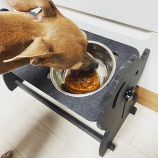 비타크래프트 조에시 하트캔 85g 강아지 습식캔 10캔 — 5점을 준 리뷰어가 2021년 7월 올린 사용 사진