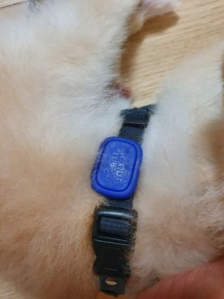 보미누나님이 올린 리뷰 사진 3