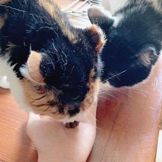 YoonheeSeo님이 올린 리뷰 사진 3