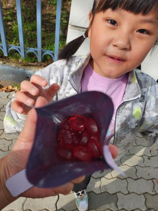 싸랑스런곰탱이님이 올린 리뷰 사진 3