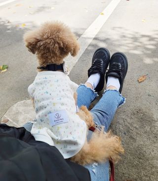 꽃양뿌니님이 올린 리뷰 사진 4