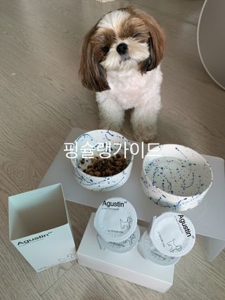 박코끼리님이 올린 리뷰 사진 3