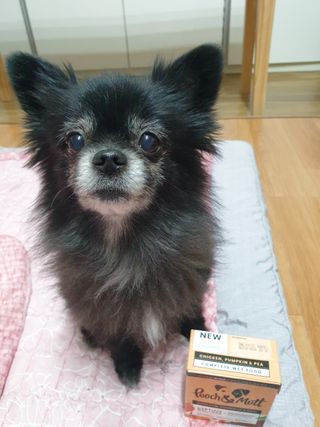 복덩이님이 올린 리뷰 사진 1