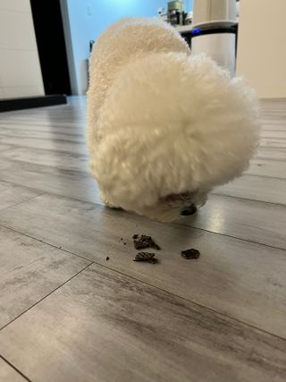큐티윤님이 올린 리뷰 사진 4