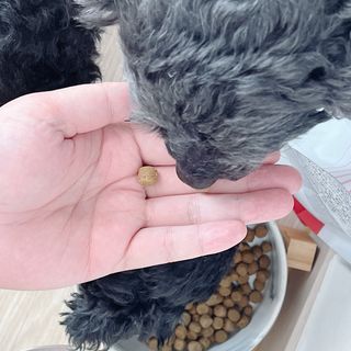 우와한언니님이 올린 리뷰 사진 3