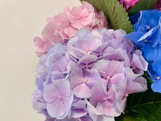 기쁨님이 올린 리뷰 사진 1