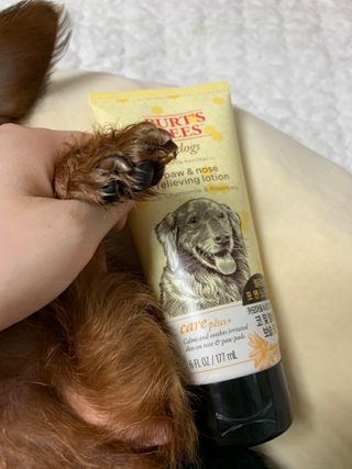 소다뷰님이 올린 리뷰 사진 1