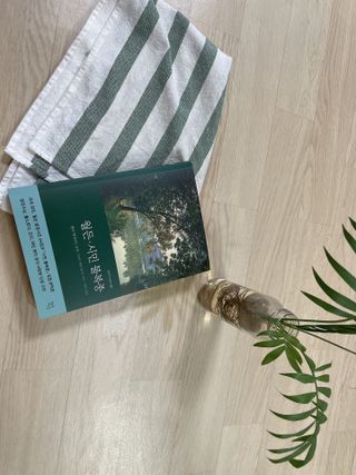 초딩짱구님이 올린 리뷰 사진 1