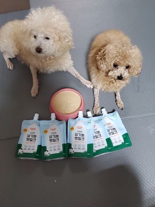 모모맘님이 올린 리뷰 사진 1