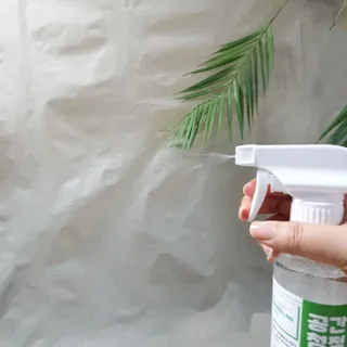 카데카님이 올린 리뷰 사진 4
