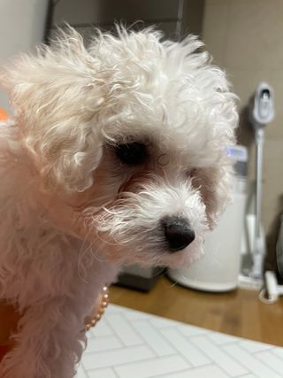 용빈맘님이 올린 리뷰 사진 1