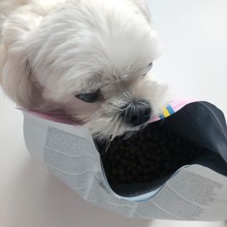 torius님이 올린 리뷰 사진 2