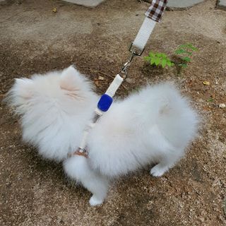 제니구리님이 올린 리뷰 사진 2