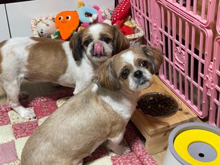 하늘찡님이 올린 리뷰 사진 3