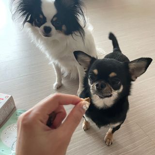 하림님이 올린 리뷰 사진 4